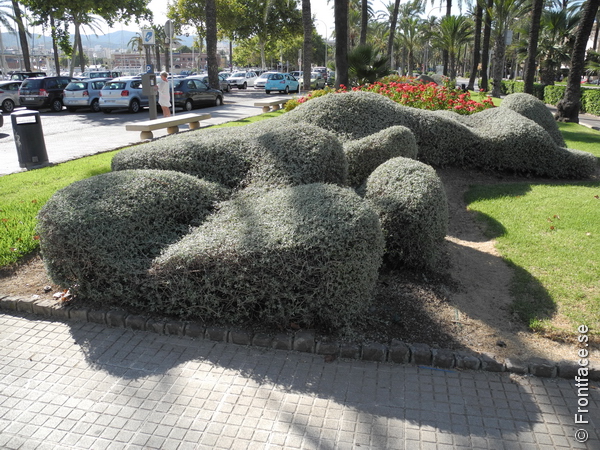 Palma-Streetlife_001