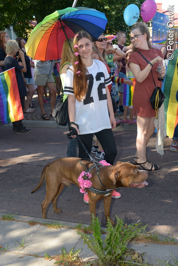 Pride_0036