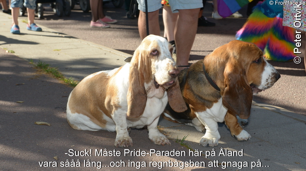 Pride_0052